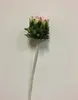 1. Protea 60cm Pink thumbnail