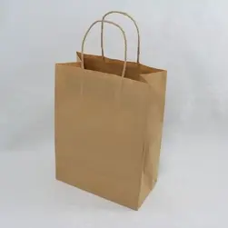 #10 Paper Twist Handles Gift Bag Natural 20.5x27.5cm height
