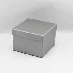Solid Box Small Silver