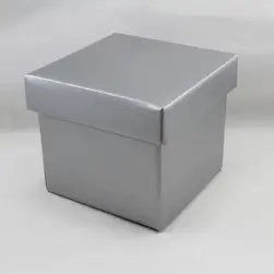 Small Square Box and Lid 13x13x12cm height Silver