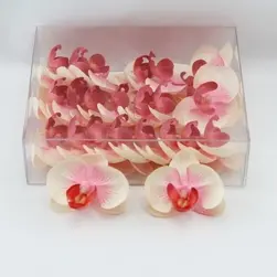 Phalaenopsis Orchid Head Soft Pink Box Of 24