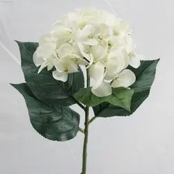 Single Large Hydrangea 76cm White