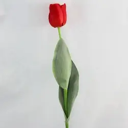 Single Tulip 65cm Red
