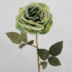 Gina Rose 65cm Green