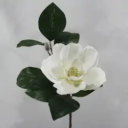 Large White Magnolia with Leaves & Buds 70cm