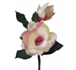 Short Magnolia Spray 43cm Cream Pink
