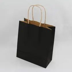 #8 Paper Twist Handles Gift Bag Black 18x21.5cm height