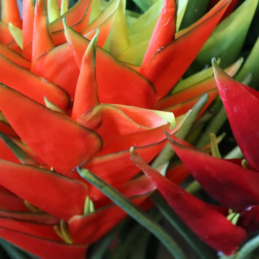 Silk Flowers Silk Plants Artificial Flowers Pl& Artificial Plants Trees