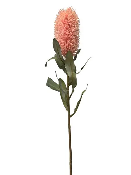 Medium Banksia Pink 70cm 1. Medium Banksia Pink 70cm