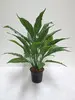 1. Real Touch Spathiphyllum Leaf Bush 60cm thumbnail