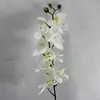 Phalaenopsis Orchid Spray 80cm White thumbnail