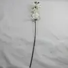 2. Phalaenopsis Orchid Spray 80cm White thumbnail