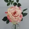 Quiannie Rose Soft Pink thumbnail