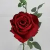 Quiannie Rose Red thumbnail