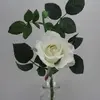 Short Stem Alice Rose 42cm White thumbnail