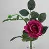 Short Stem Alice Rose 42cm Magenta thumbnail