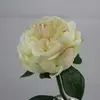 Artificial Short Stem Peony Flower Cream 33cm  thumbnail