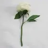 1. Artificial Short Stem Peony  Beige 33cm thumbnail