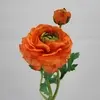 Short Stem Ranunculus Spray 36cm Orange thumbnail