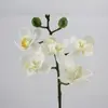 Artificial Mini Real Touch Phalaenopsis Orchid Cream 25cm thumbnail
