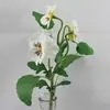 Pansy Spray 35cm White thumbnail