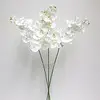 1. Phalaenopsis Orchid 101cm Cream thumbnail
