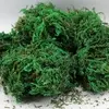 Green Moss Small Bag 30g thumbnail