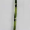 1. Bamboo Snake Grass 90cm thumbnail