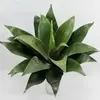 Large Agave 50cm thumbnail