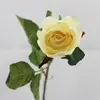 1. Single Rosebud Cream thumbnail