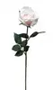 1. Ecuador Rose 67cm Lt Pink thumbnail