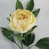 King Peony Flower Bean Curd 79cm thumbnail