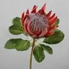 King Protea Flower 73cm Red thumbnail