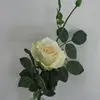 Short Stem Artificial Alice Rose 42cm Champagne thumbnail