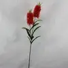 1. Double Bottle Brush Spray Red 72cm thumbnail