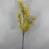 1. Wattle Flower Spray 78cm thumbnail