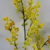 2. Wattle Flower Spray 78cm thumbnail