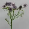 Cyperus Spray Purple 51cm thumbnail