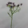 1. Cyperus Spray Purple 51cm thumbnail