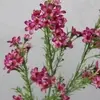 1. Artificial Geraldton Waxflower Spray Hot Pink 68cm thumbnail