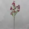 2. Artificial Geraldton Waxflower Spray Hot Pink 68cm thumbnail