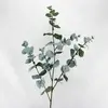 Tall Blue/Grey Round Leaf Eucalyptus Gum Spray 108cm thumbnail