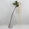 Long Amaranthus Berry Tail Spray Cream 122cm thumbnail
