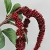 1. Long Amaranthus Berry Tail Spray Red 122cm thumbnail