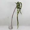Long Amaranthus Berry Tail Spray Green 122cm thumbnail