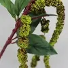 1. Long Amaranthus Berry Tail Spray Green 122cm thumbnail