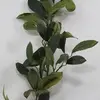 1. All Seasons Laurel Leaf Vine Garland 6ft thumbnail