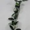 1. Stephanotis Vine Garland 6ft  thumbnail