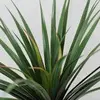 1. Large Yucca Head Green/Red 60cm thumbnail