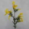 Australian Wattle Spray with Leaves 85cm thumbnail